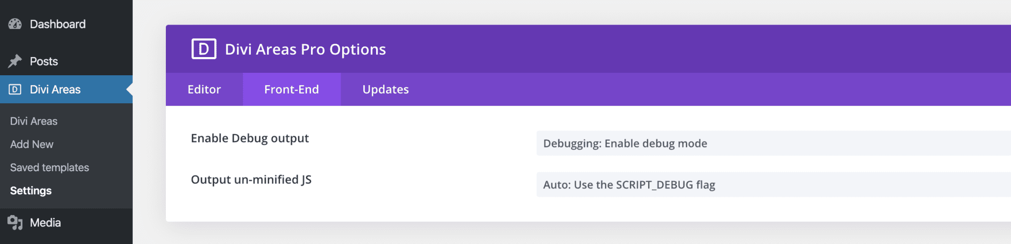 Debugging options in the Divi Areas Settings page.