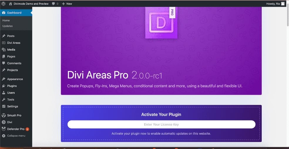 First Impression of Divi Areas Pro