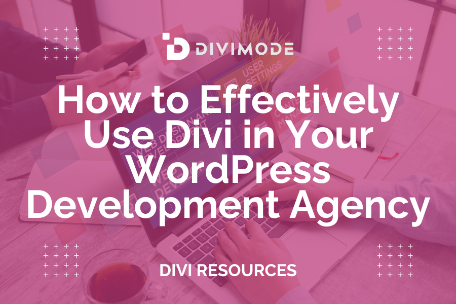 How to Effectively Use Divi in Your WordPress Development Agency