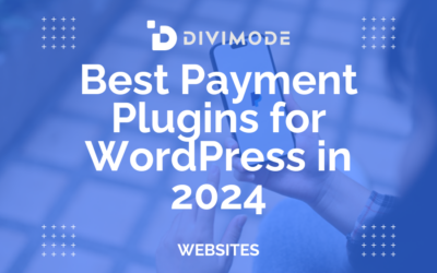 Best Payment Plugins for WordPress in 2024